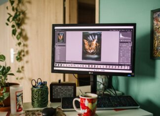 TOP 10 darmowych alternatyw dla Photoshopa do obróbki zdjęć i grafiki Biurko domowe z monitorem z uruchomionym programem do edycji zdjęć