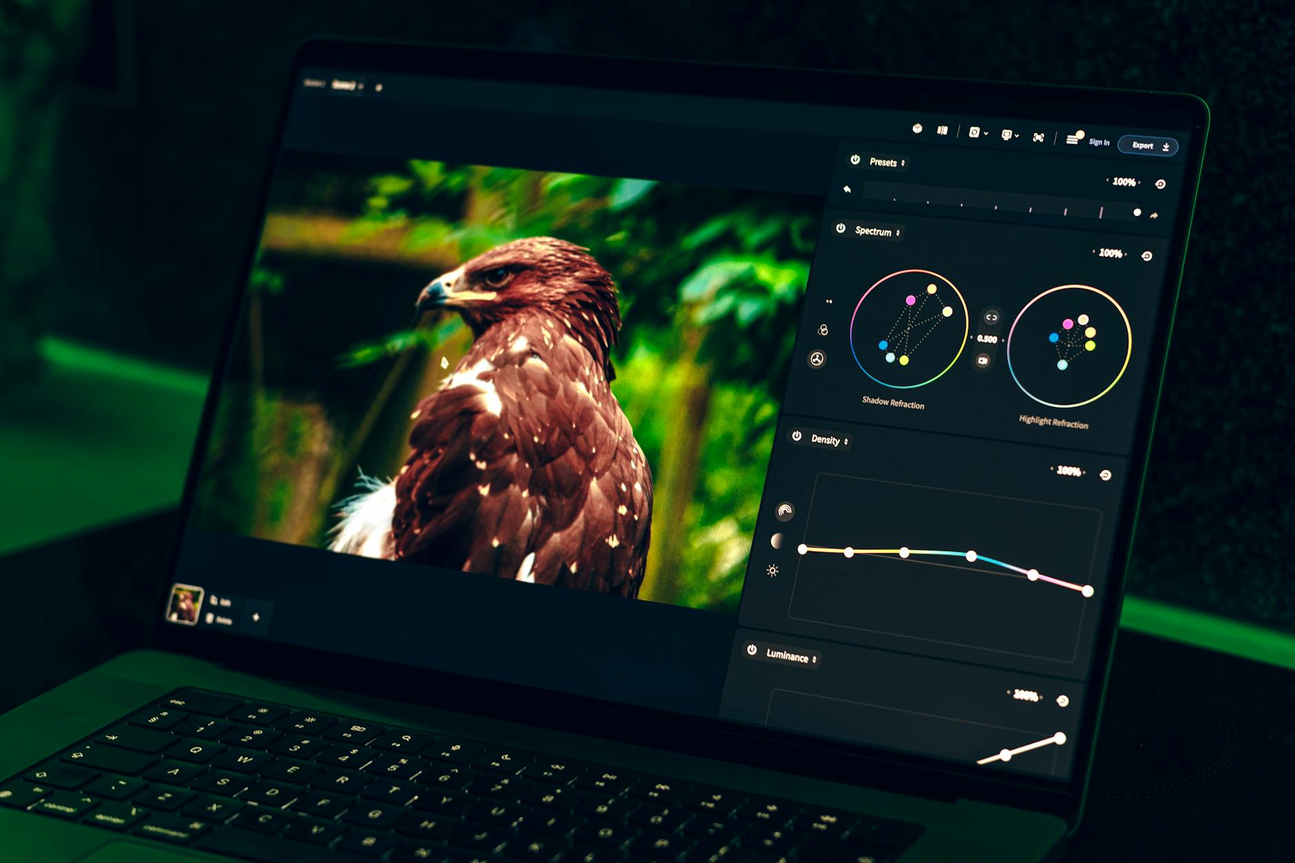 Nocna edycja zdjęcia orła na ekranie laptopa w Photoshopie